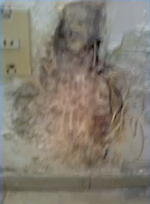 Imagen paranormal 1
